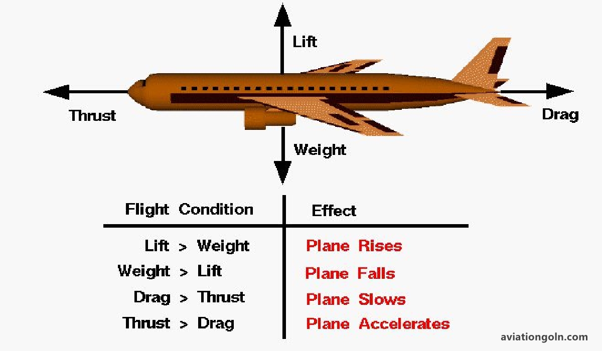 Overview of Aircraft Motion