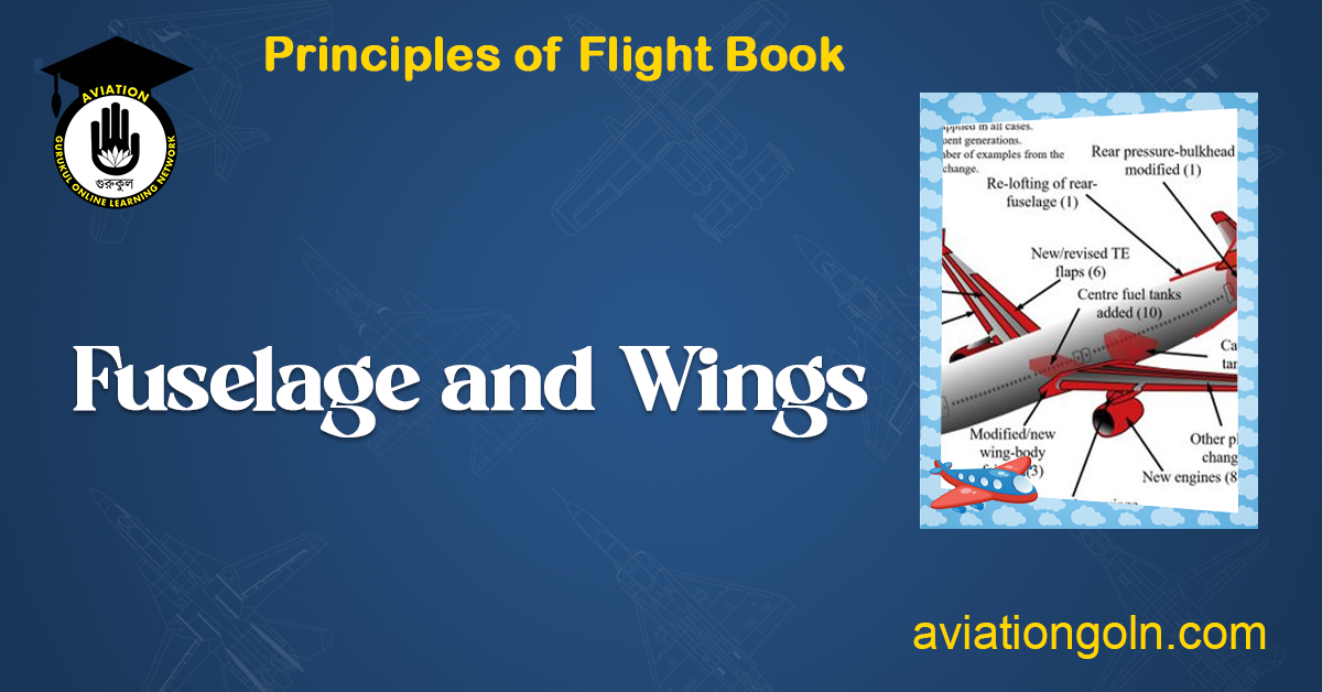 Fuselage and Wings