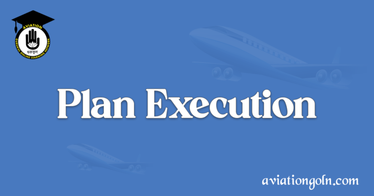 Plan Execution