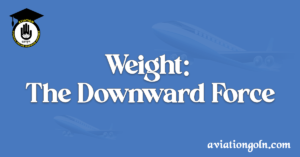 Weight - The Downward Force